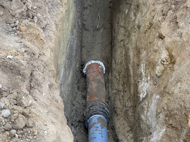 Best Emergency water extraction  in Dentsville, SC