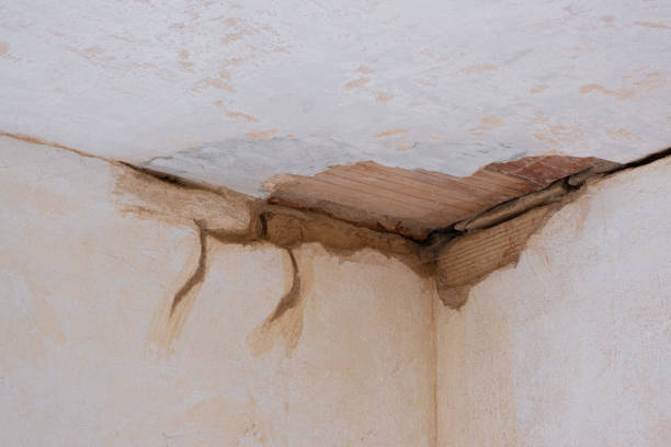 Best Ceiling water damage repair  in Dentsville, SC
